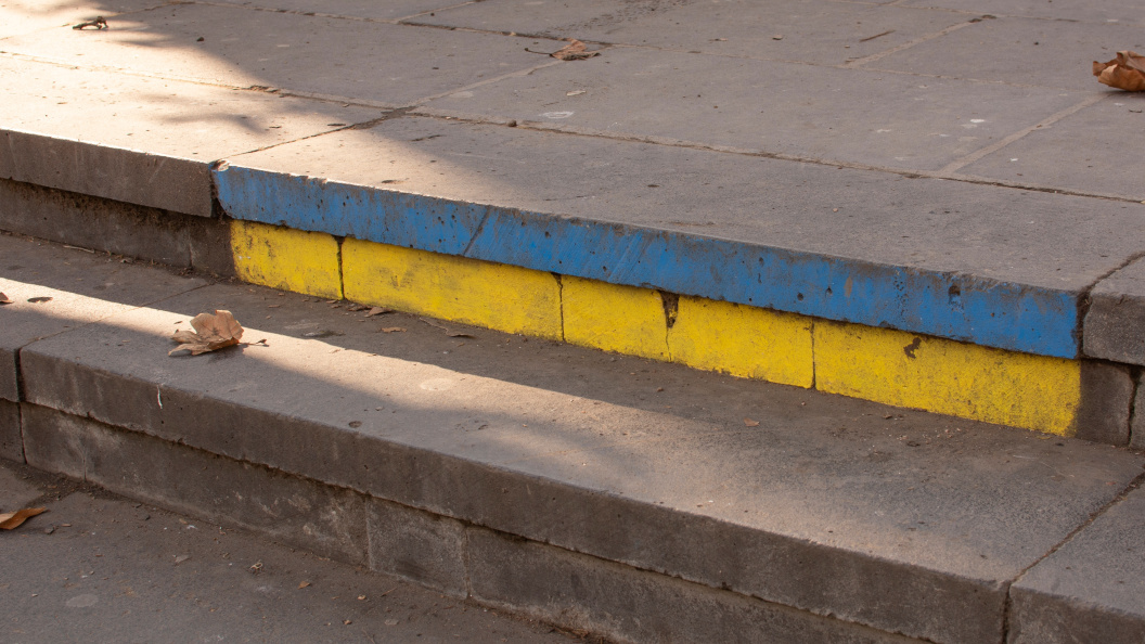    Фото: Alena Zharava/shutterstock.com