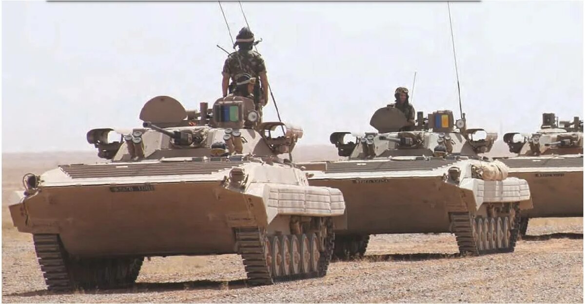 Алжирские БМП-2М с модулем «Бережок»