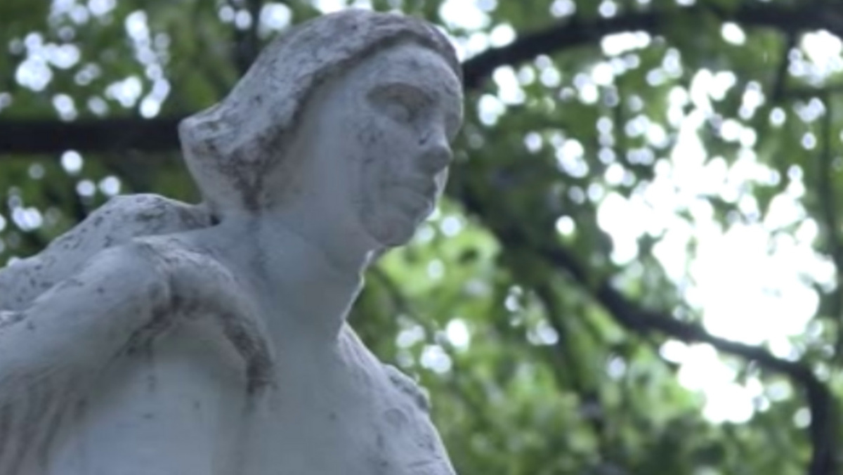    В Курске в Детском парке началась масштабная реконструкция