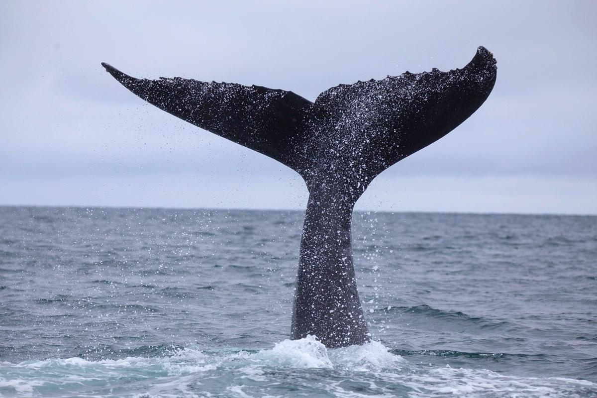 Источник фото: vk.com/park.beringia