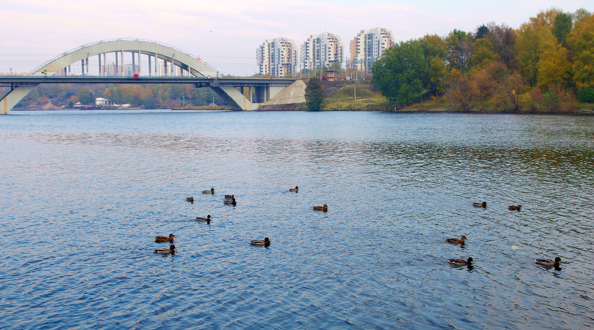 Канал имени Москвы