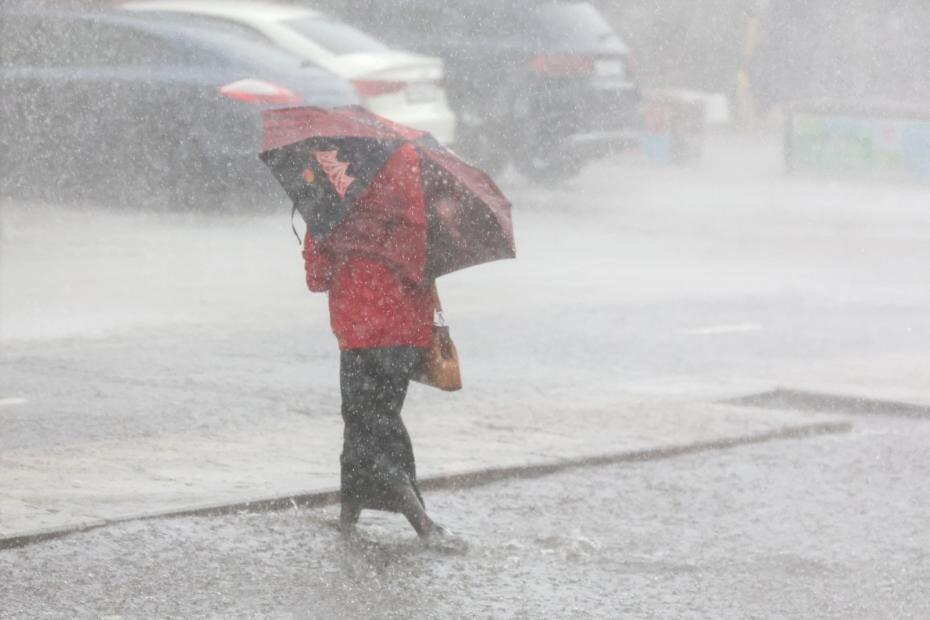    Алексей Белкин/NEWS.ru