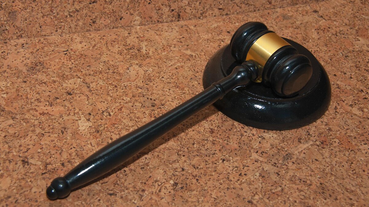    Фото: Svetlana Vozmilova/globallookpress.com