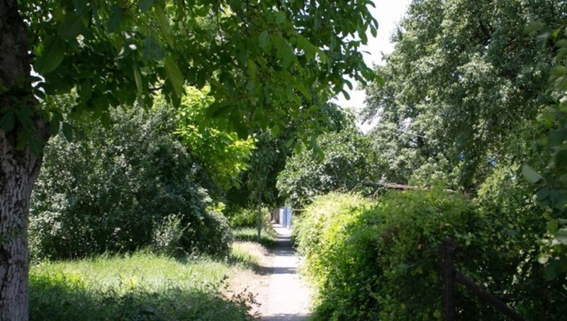      Фото: ИА «Победа26»