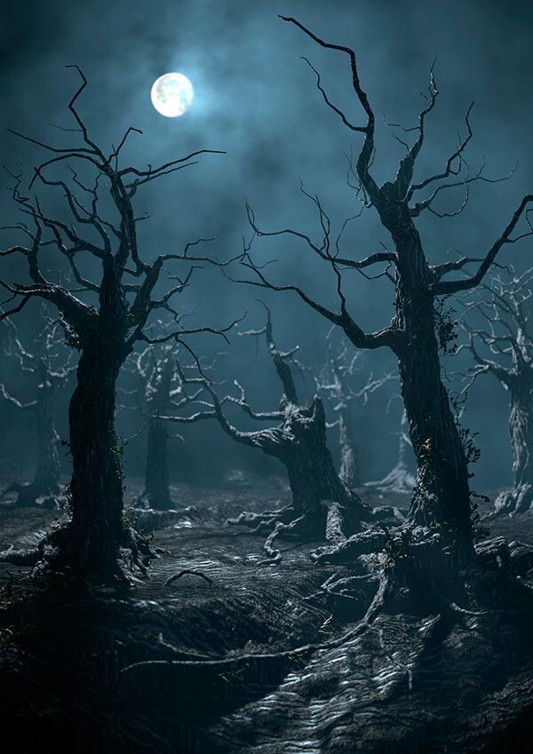 Все права на рассказ принадлежат автору. Запрещается копирование, распространение или любое иное использование информации и объектов авторского права без предварительного согласия правообладателя