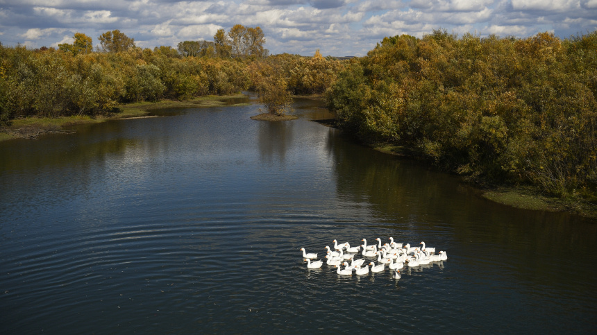    Фото: © РИА Новости/Александр Кряжев; 5-tv.ru