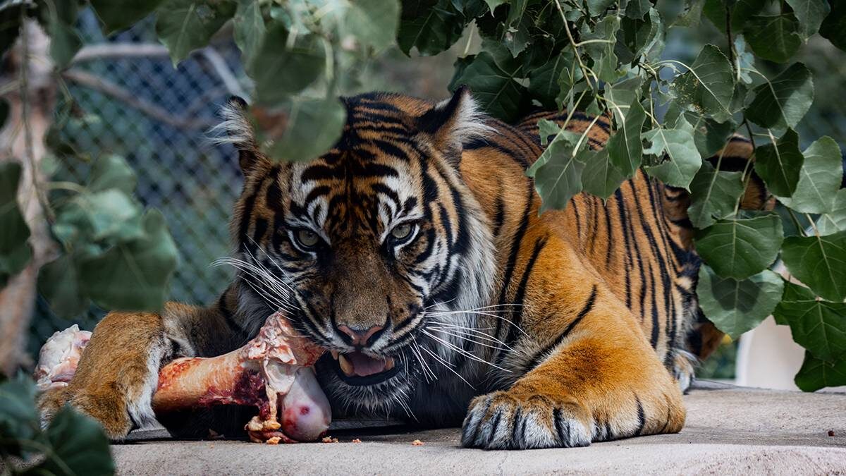    Фото: Shutterstock