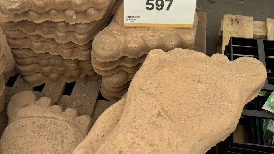 Что интересного можно найти в Садовом центре Лемана Про: обзор с ценами ✅