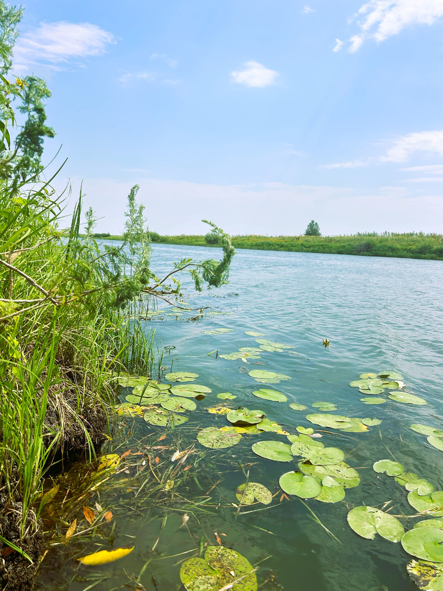Ерик Петлеватый