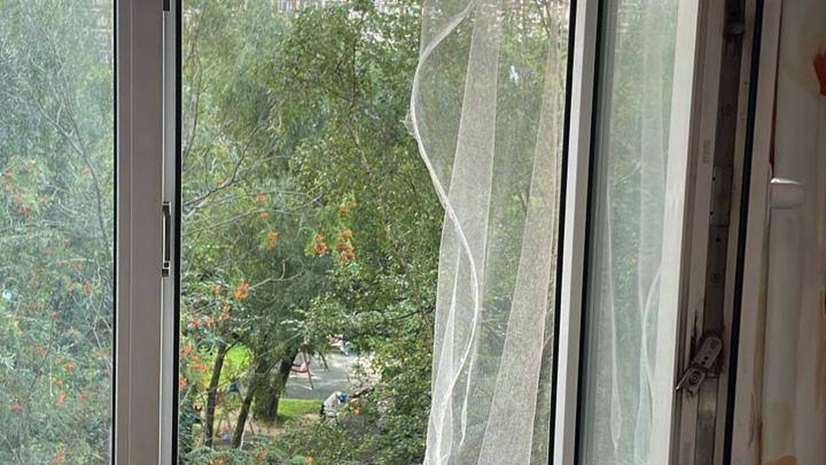    Фото: Telegram / Прокуратура Москвы