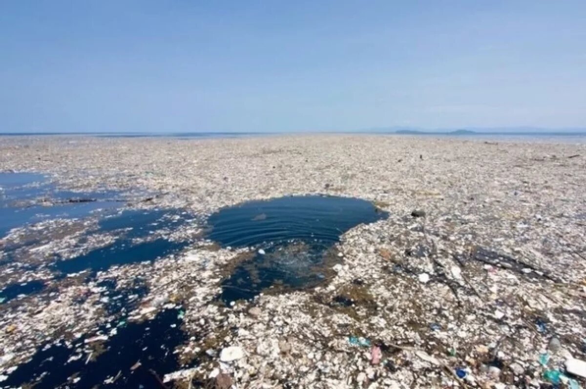    На Дону за фиксацию нелегального сброса мусора пообещали 500 рублей