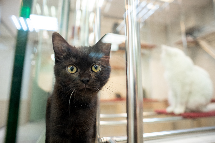 Фото: Юлия Федотова