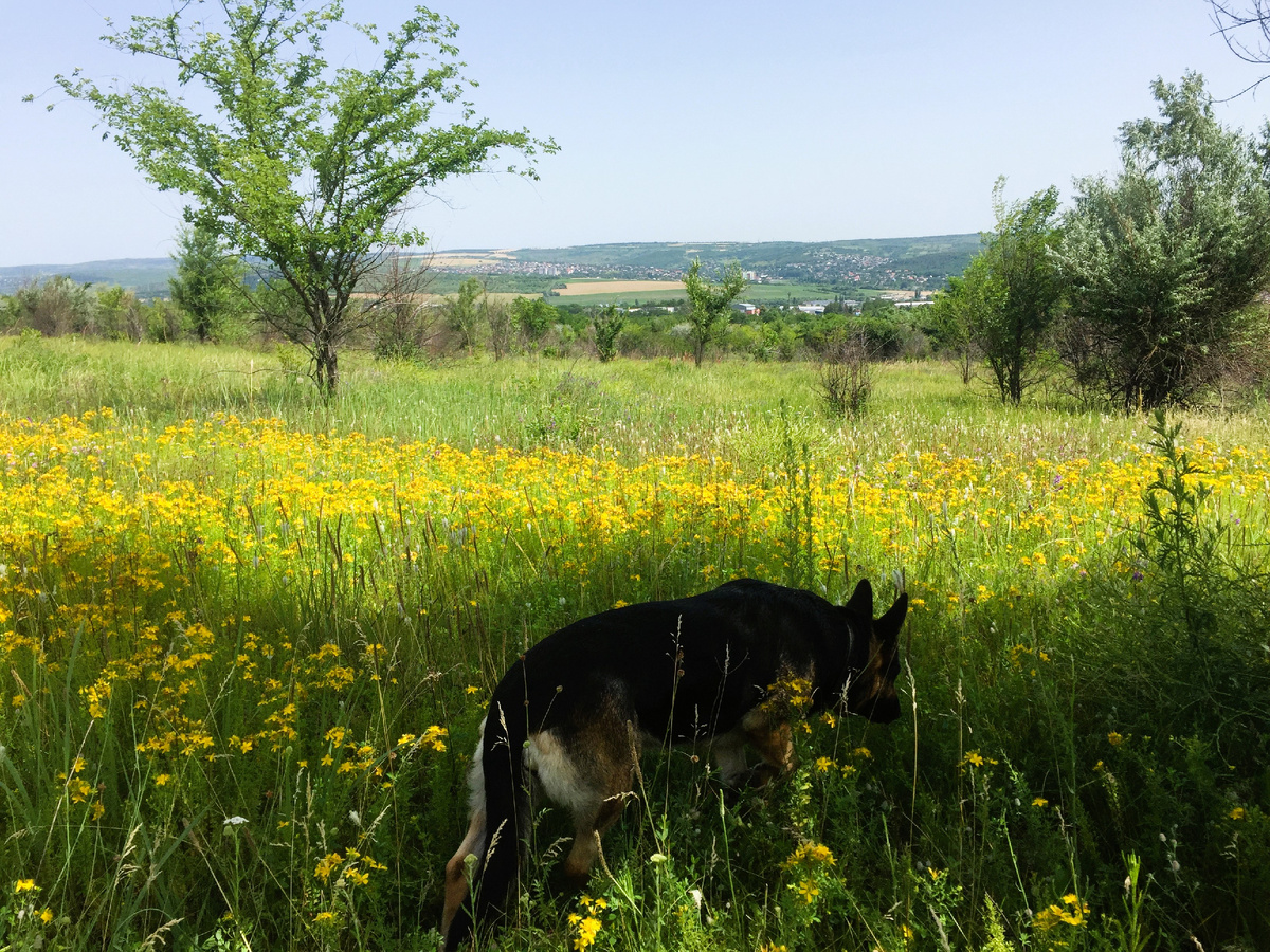 Фото автора
