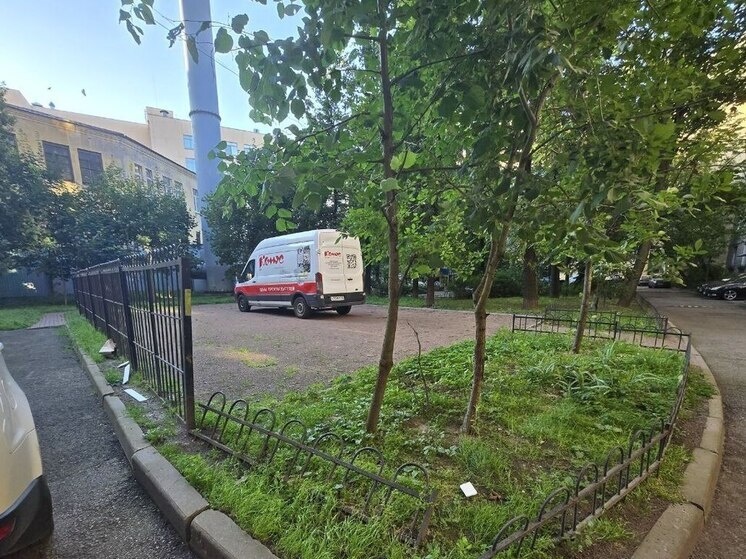     Фото: читатели «МК в Питере»