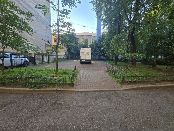     Фото: читатели «МК в Питере»