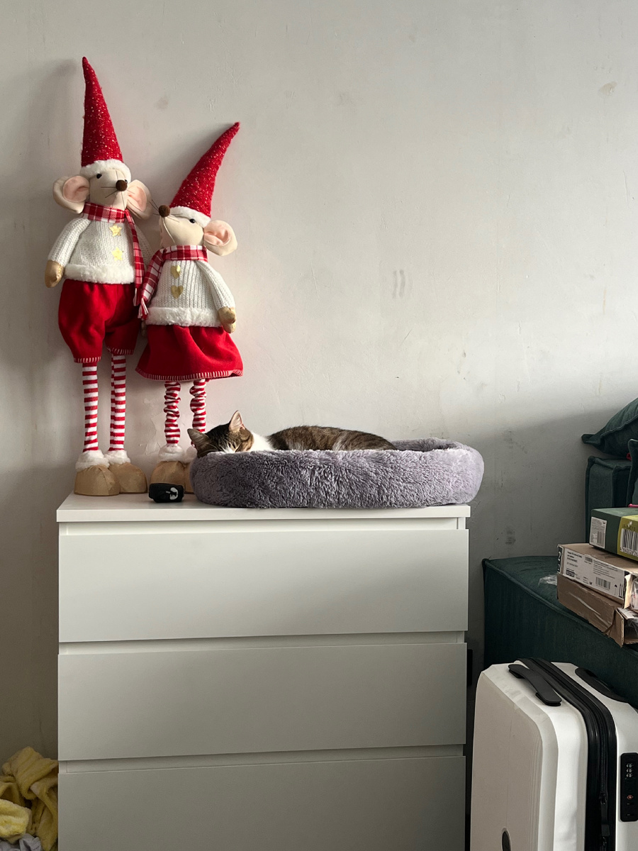 Немного новогоднего бардака