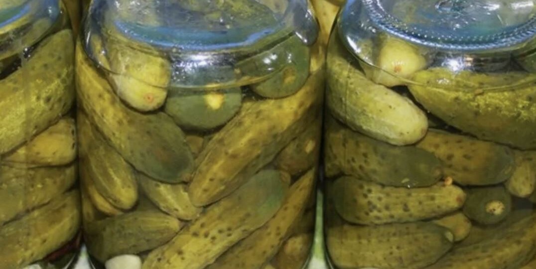 Лучшие сорта огурцов для засолки: топ-5 хрустящих чемпионов