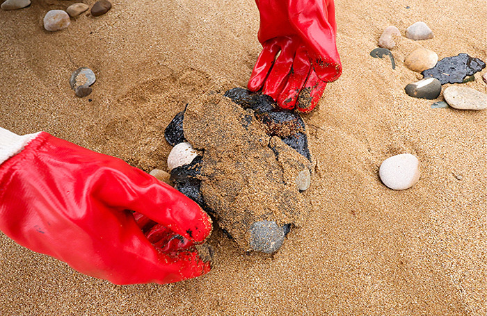    Сергей Мальгавко/ТАСС