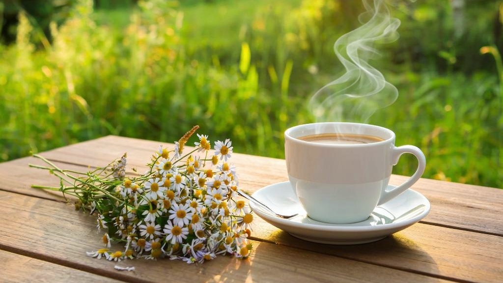 Чтобы утро было добрым: советы для всех знаков зодиака