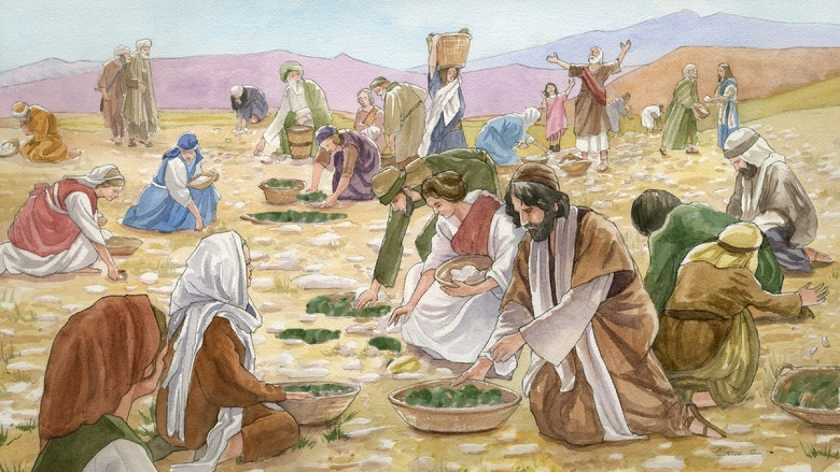 Фотография взята из источника: https://granmax.ru/belaya-manna