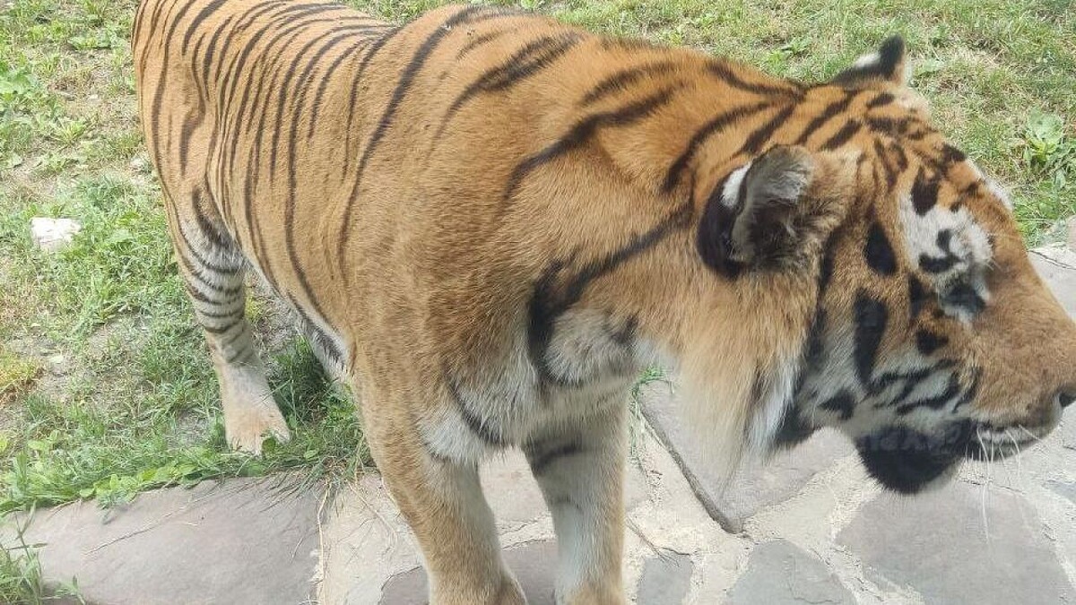    Фото: телеканал «Краснодар»