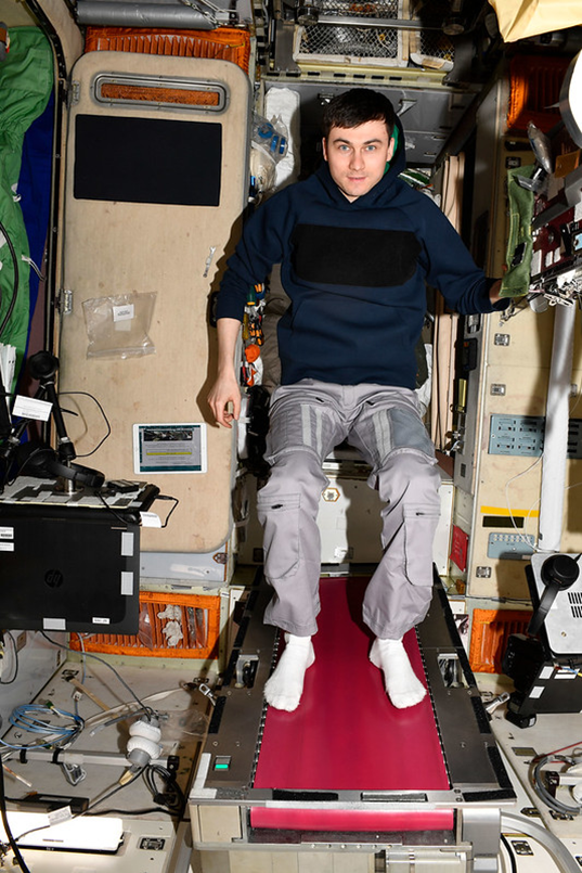 Алексей Зубрицкий на беговой дорожке БД-2 в СМ «Звезда». Фото: nasa.blog.com