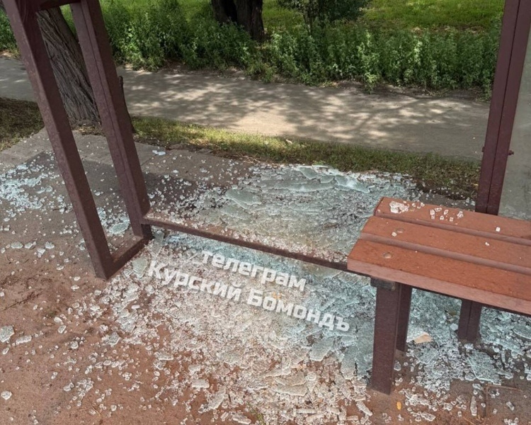     В Курске вандалы разбили стекло на остановке «Планерная»