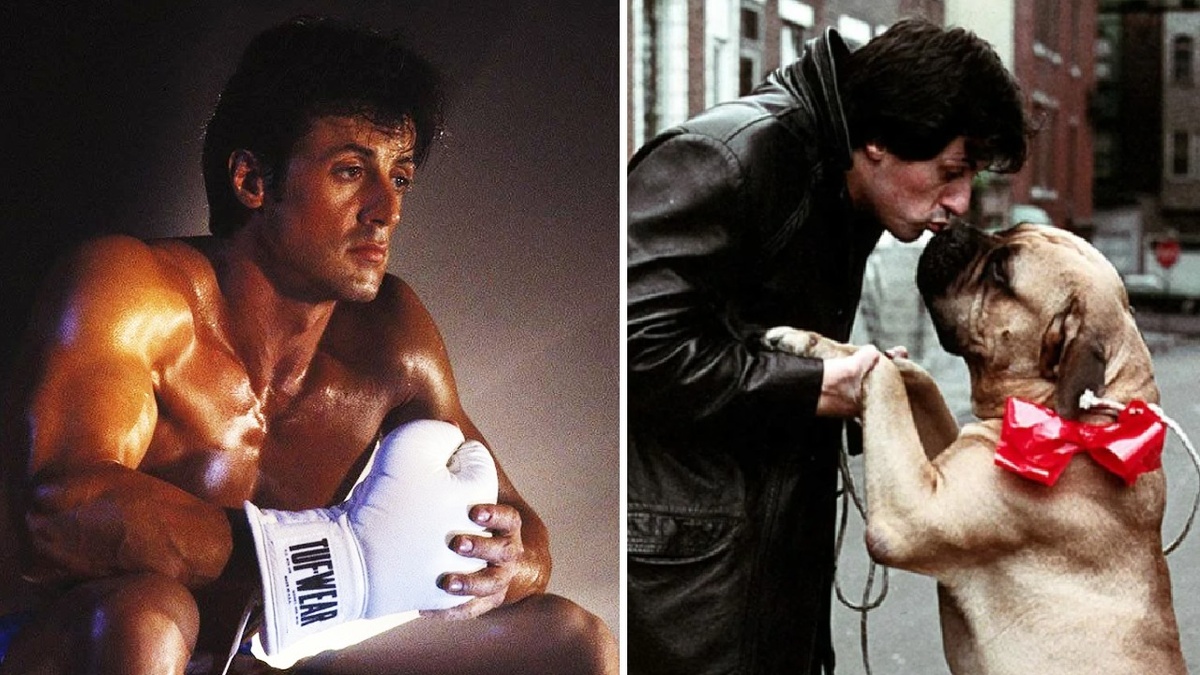 молодой Сталлоне обнимает своего пса Буткуса, и кадр из фильма "Рокки" в боксерских перчатках
