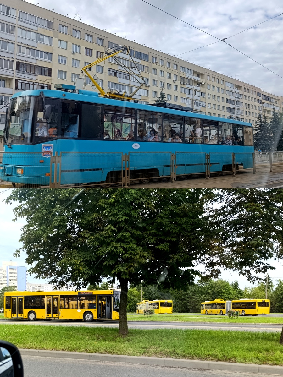 Коллаж автора, как и всё фото ниже. 