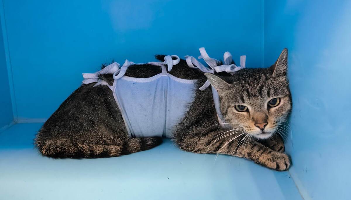 Совсем молоденькая, около года