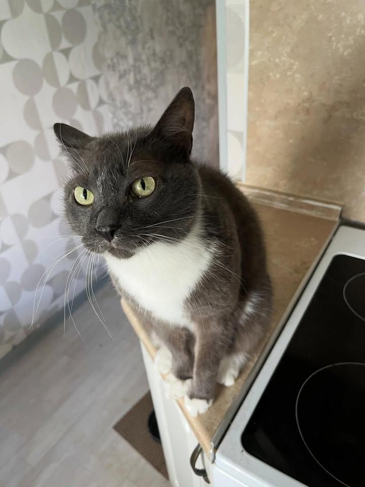 иллюстрация из яндекс картинки.