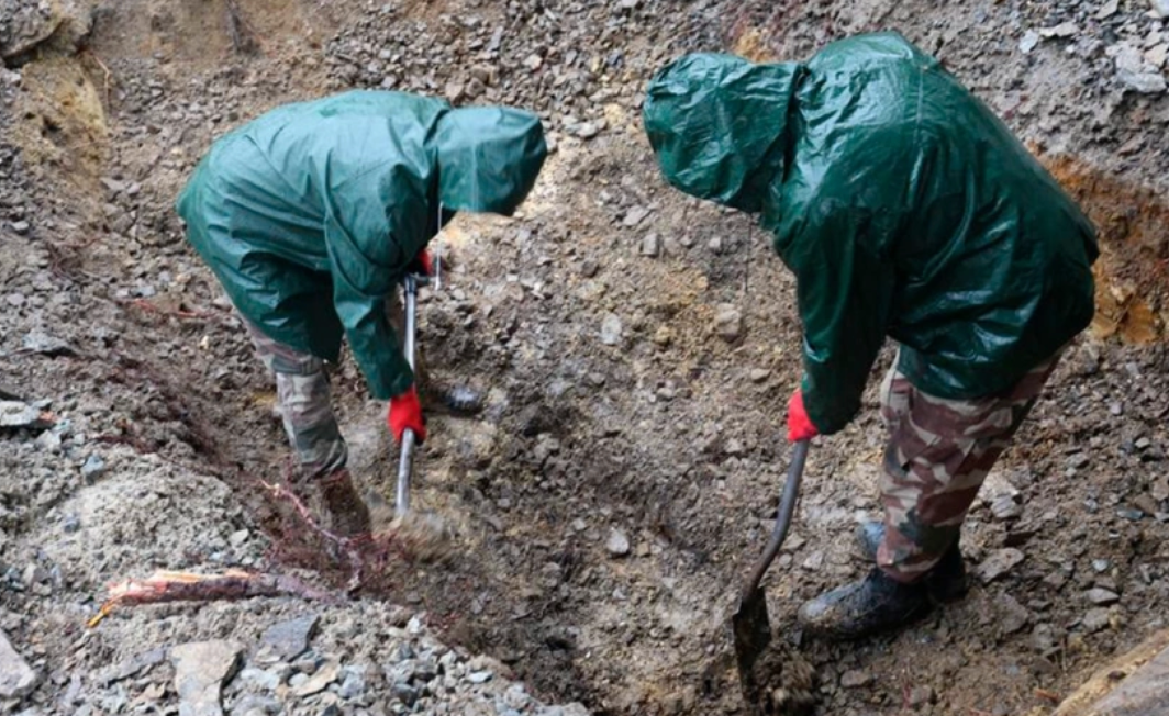     / Источник: ©andriysadovyi / Telegram-канал