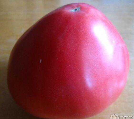 Плод томата "розовый мёд"