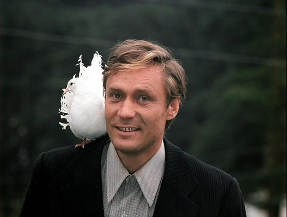 Кадр из фильма «Любовь и голуби» 1984 год реж. Владимир Меньшов