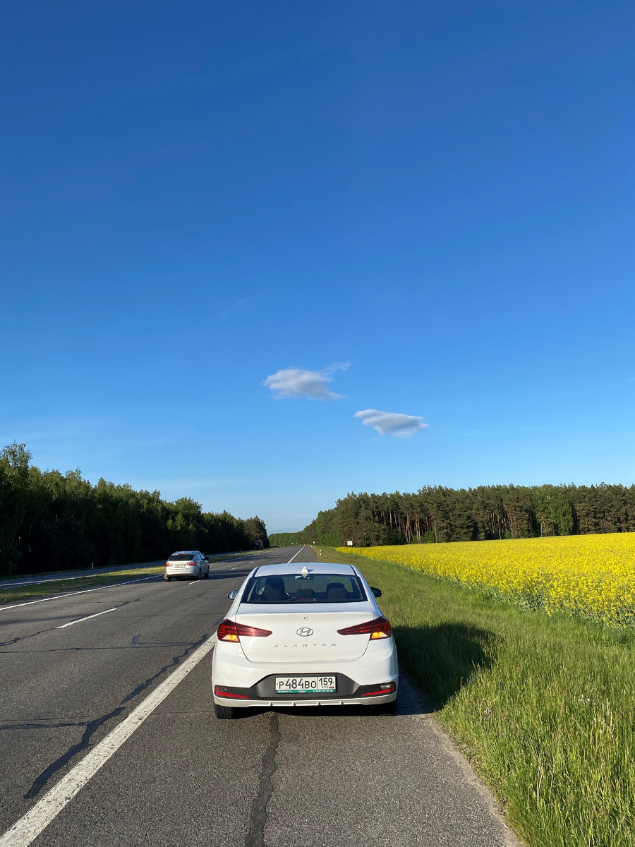 Фото из моего автопутешествия по Белоруссии. Трасса и поле рапса.