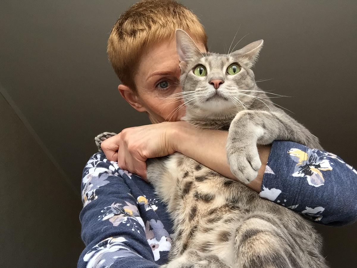 Камарик - принц породы Оцикет (по паспорту Qamar)