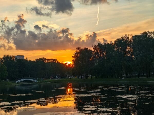    Фото: Никита Чудин. UG.RU