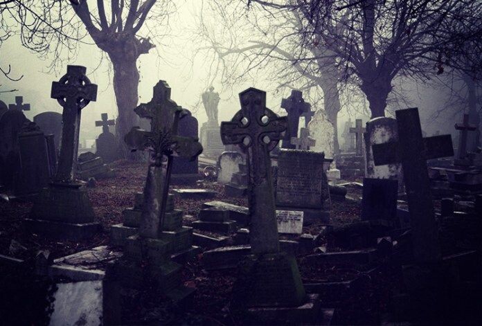 фото взято из открытого доступа сети интернет на Яндекс картинки