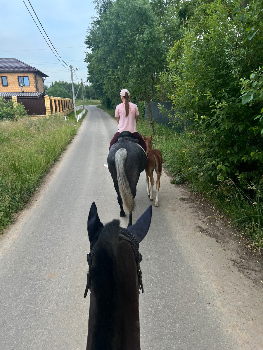 Первый выход Рика с Бренди в поле