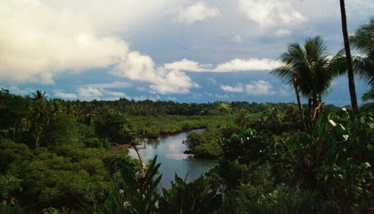     Фото: kilo on Unsplash