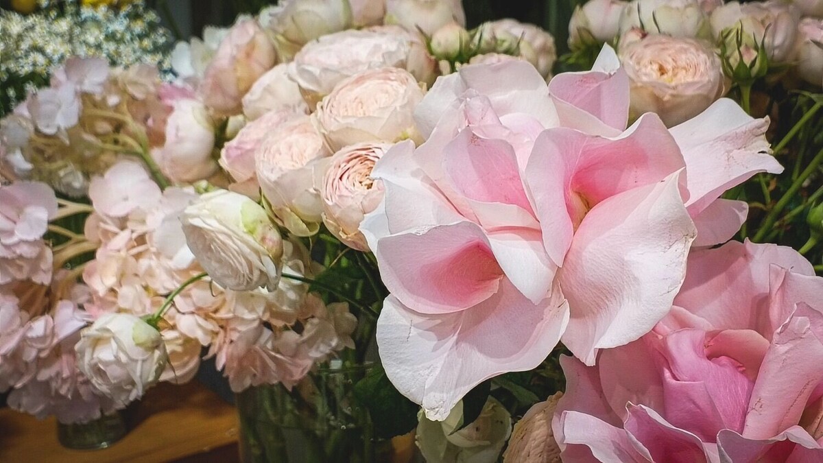     Источник: 1MI