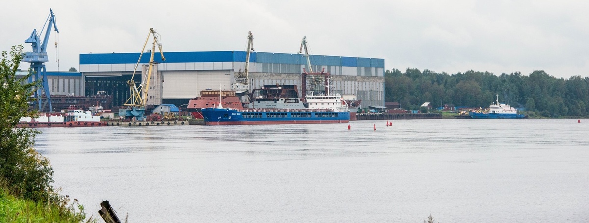    Автор фото: Михаил Тихонов / "ДП"