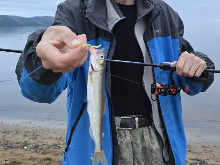 КОРЮШКА В МАГАДАНЕ