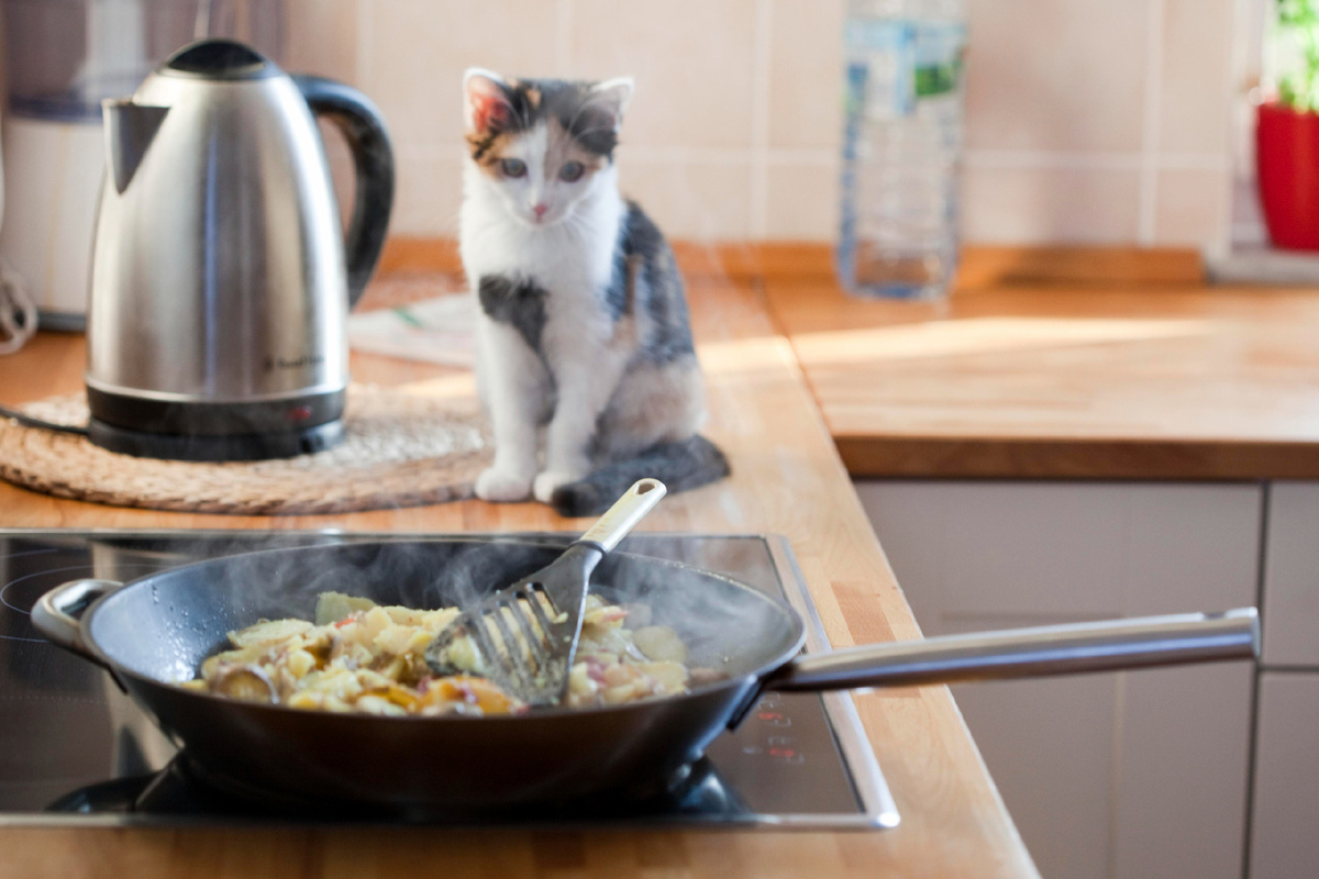 Фото: © Meike Engels/ imageBROKER.com/ Global Look Press