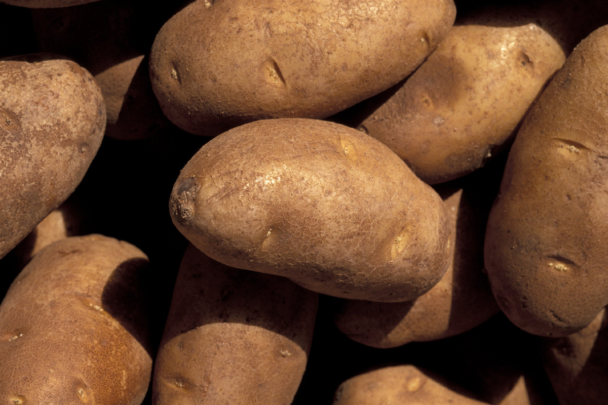 Фото: ©/ Danita Delimont/ Global Look Press