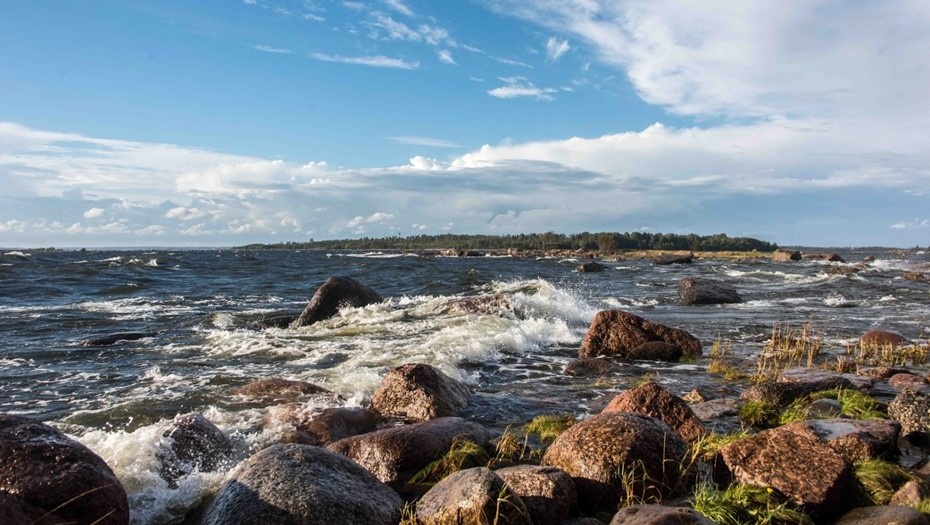    Автор фото: ooptlo.ru