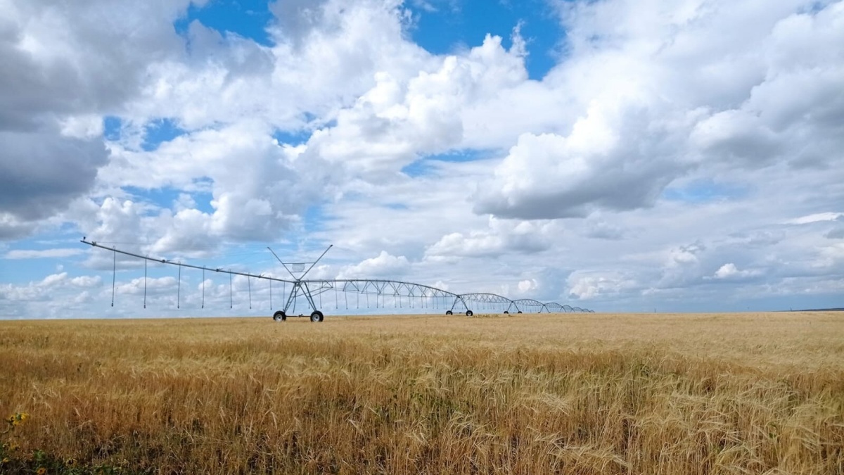    Саратовские работники АПК собрали первый миллион тонн зернаНовости Саратова и области – Сетевое издание «Репортер64»