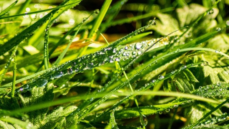      Фото: @EyeEm / freepik.com