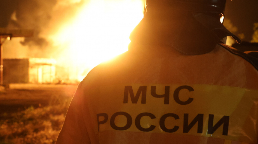    Фото: © РИА Новости/Сергей Аверин