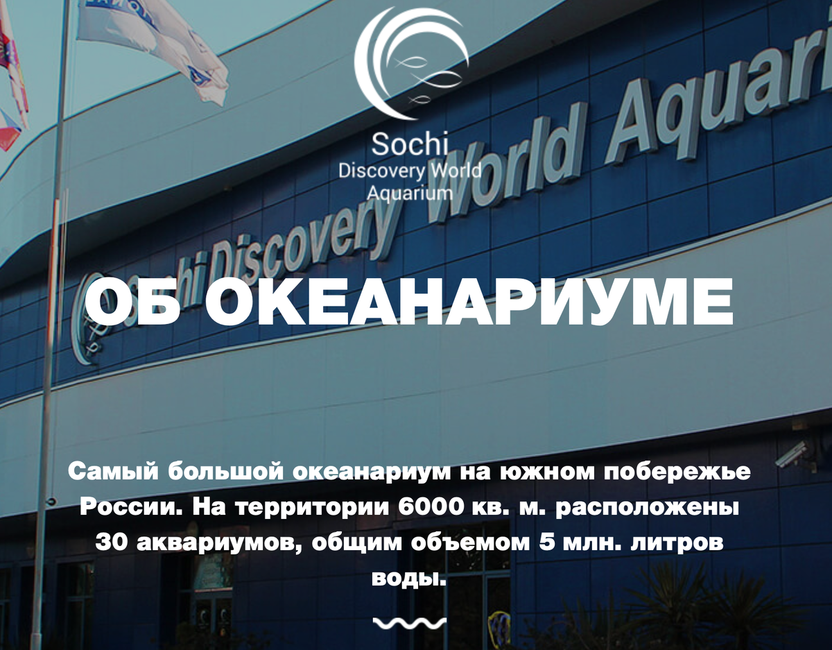 Скриншот с официального сайта океанариума Сочи